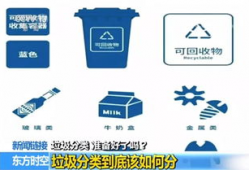 垃圾分类视频,视频解析与实操技巧