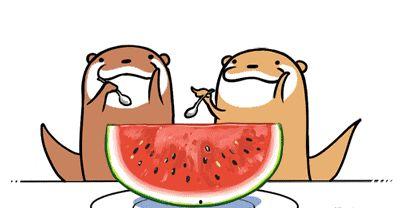 娱乐吃瓜号会不会侵权,如何规避侵权风险